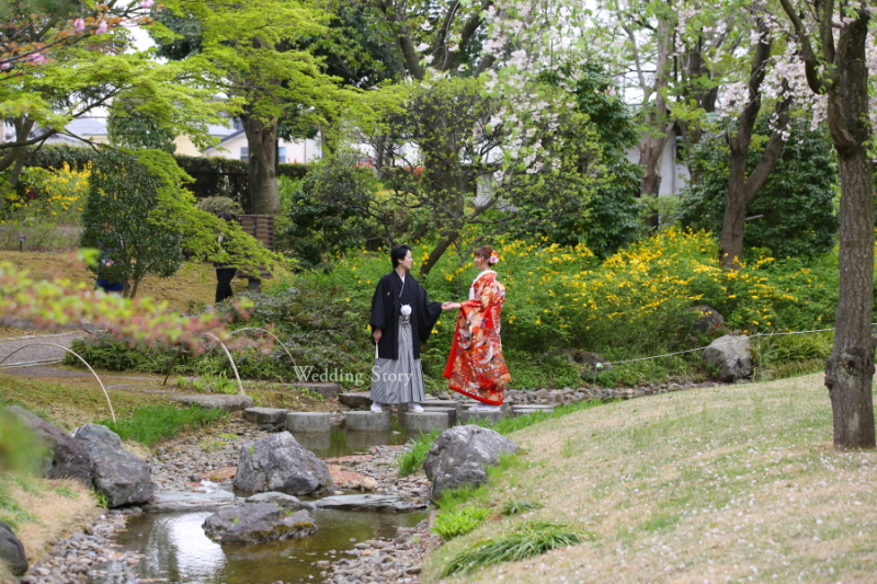 写真がとてもきれい!