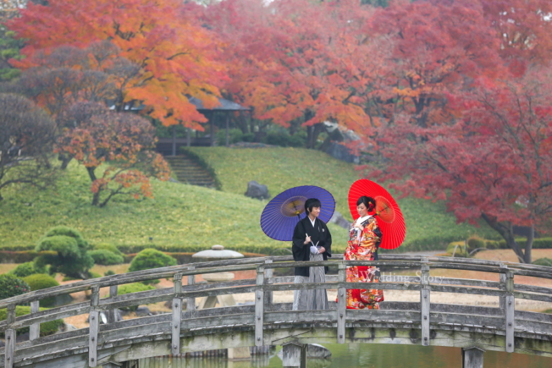 写真をが好きに!