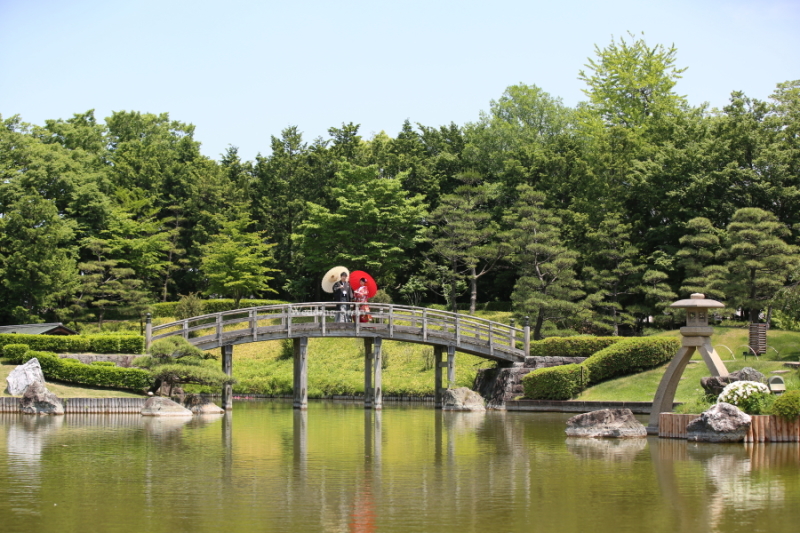 写真がきれいで!