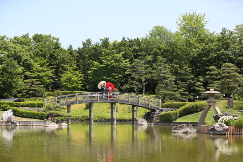 写真がきれいで！