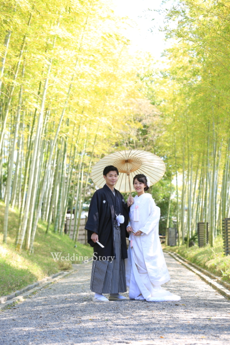 菜の花と撮影したくて!