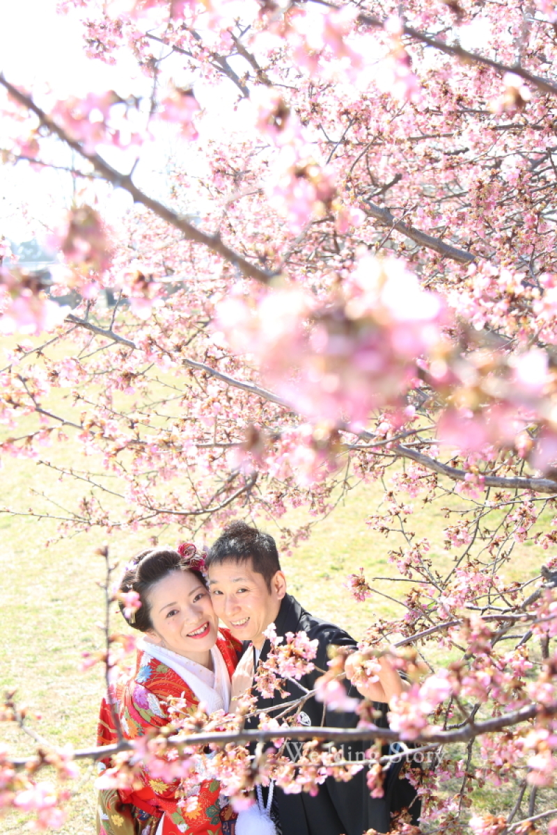 梅と桜!