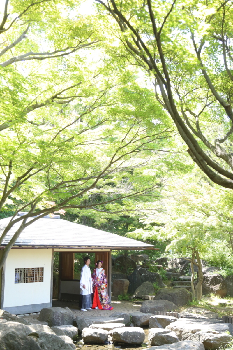 松戸店おすすめ！ロケ地特集①　「平成庭園」