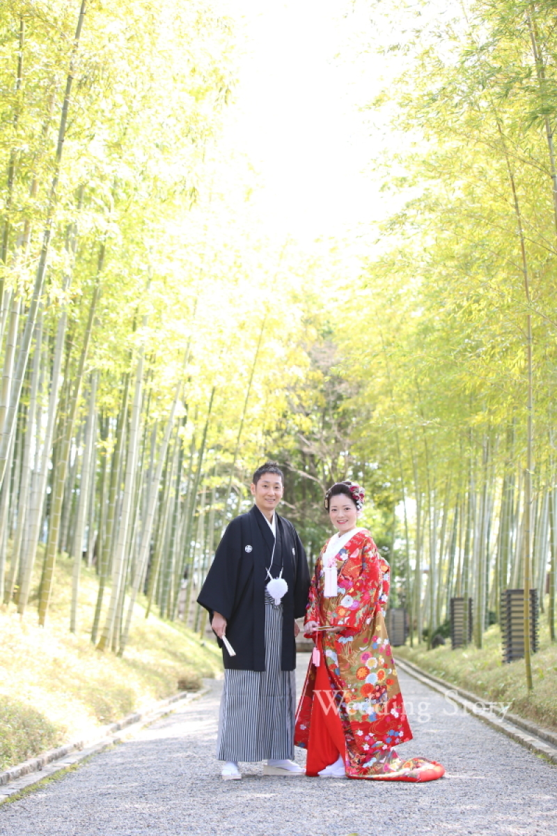 梅と桜!