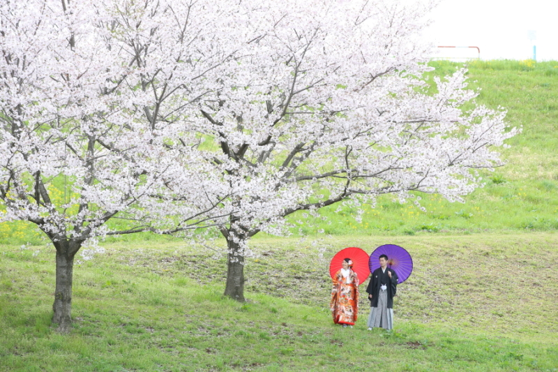 ご予約受付中！【桜】ロケ 