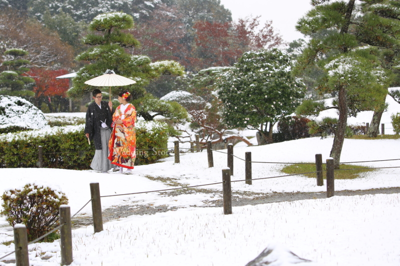 雪と紅葉!?