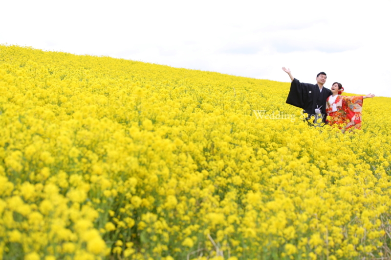 ありがとうございました！！