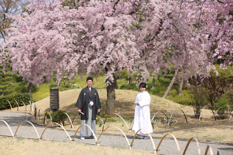 ステキな写真!