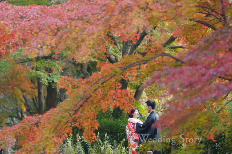 紅葉プラン予約受付中！！