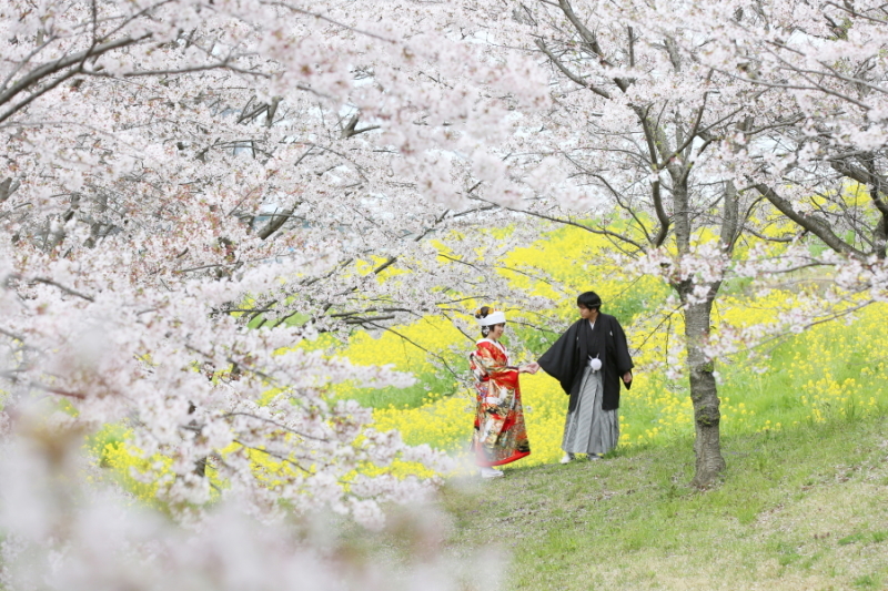 『桜フォト』受付開始しました！！