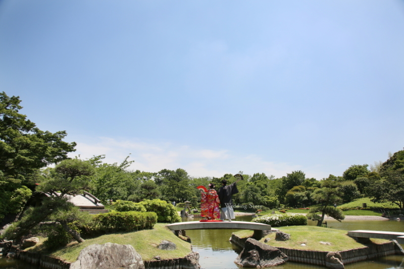 写真がきれいで!