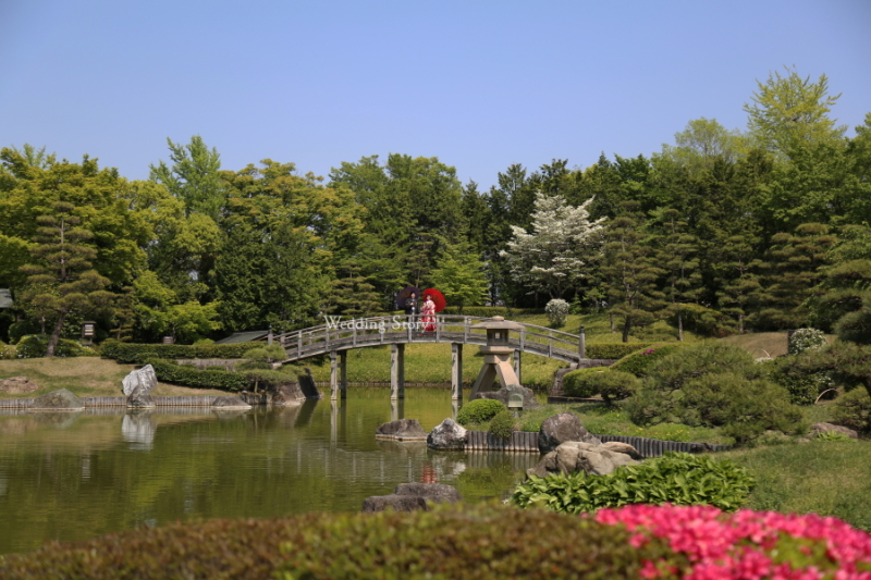 この時期に菜の花畑と！