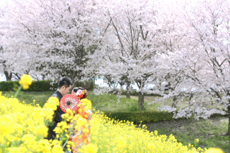 ご予約受付中！【桜】ロケ 