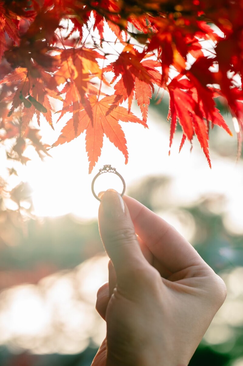 紅葉シーズンの撮影について、2024/7/19