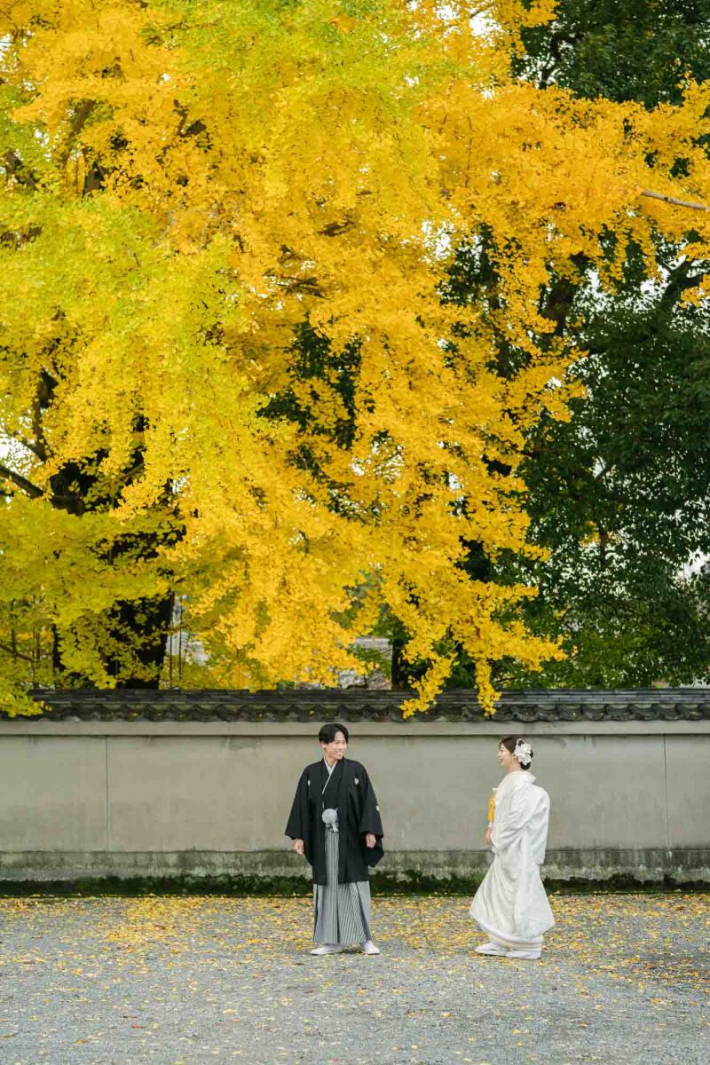 紅葉前撮りについて