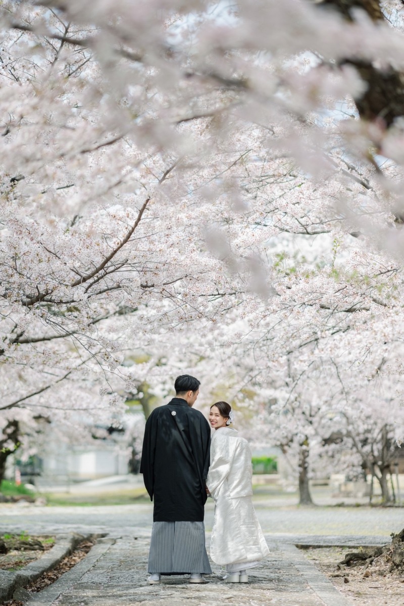2025年の桜予約について