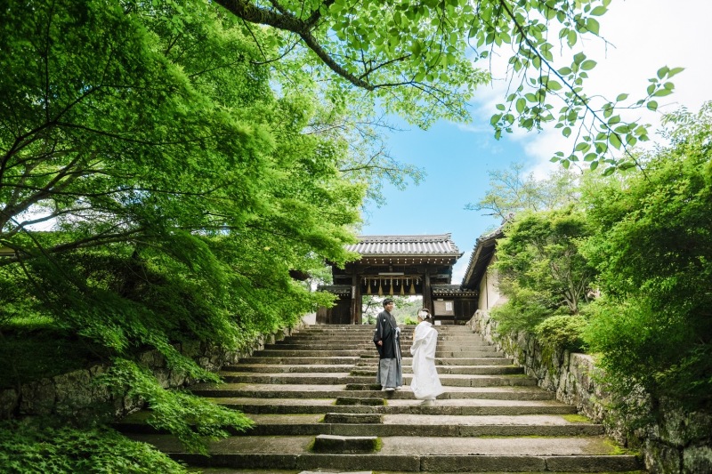 夏の寺院撮影