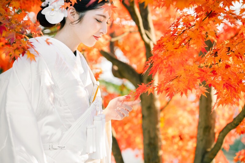 紅葉シーズン前撮りの予約受付中