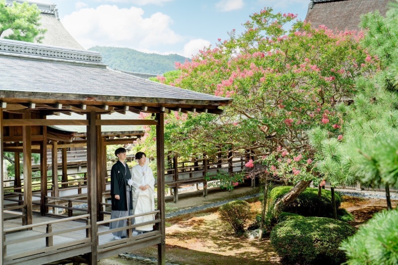 初秋の大覚寺プランのお知らせ