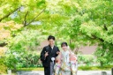 新緑シーズンについて(中文)