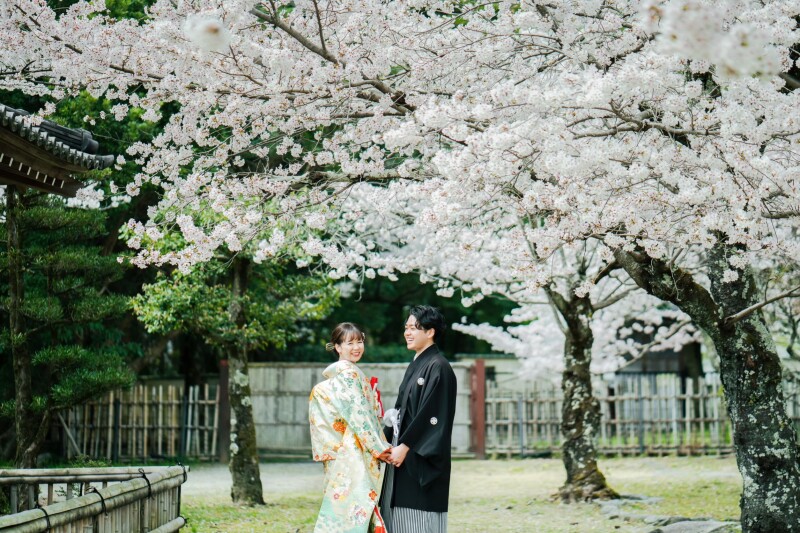 桜の季節に大覚寺で和装前撮りをご検討の方へ