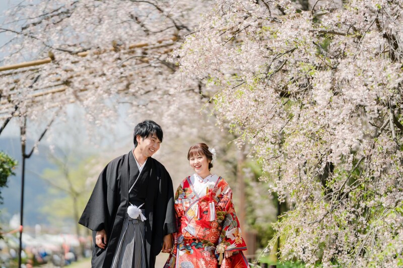 桜前撮りの特別プラン