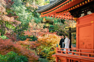 紅葉撮影