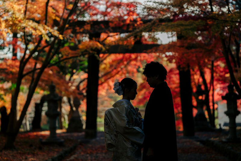 秋の大原野神社