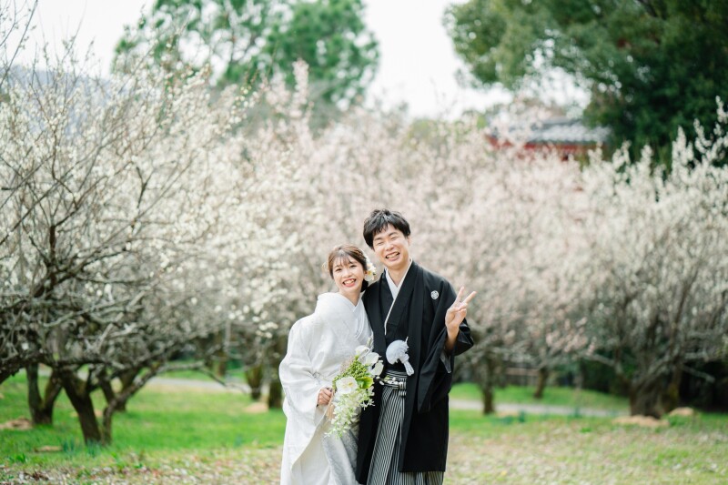 早咲きの桜、遅咲きの梅(大覚寺)