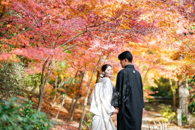 紅葉シーズン前撮りの予約受付中