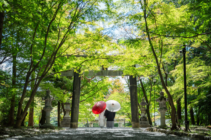 撮影レポート〜大原野神社〜
