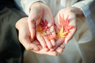 紅葉シーズンの撮影について、2024/7/19