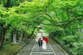 新緑の毘沙門堂