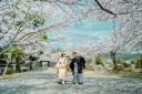 桜シーズンの寺院撮影予約は11月末までに!