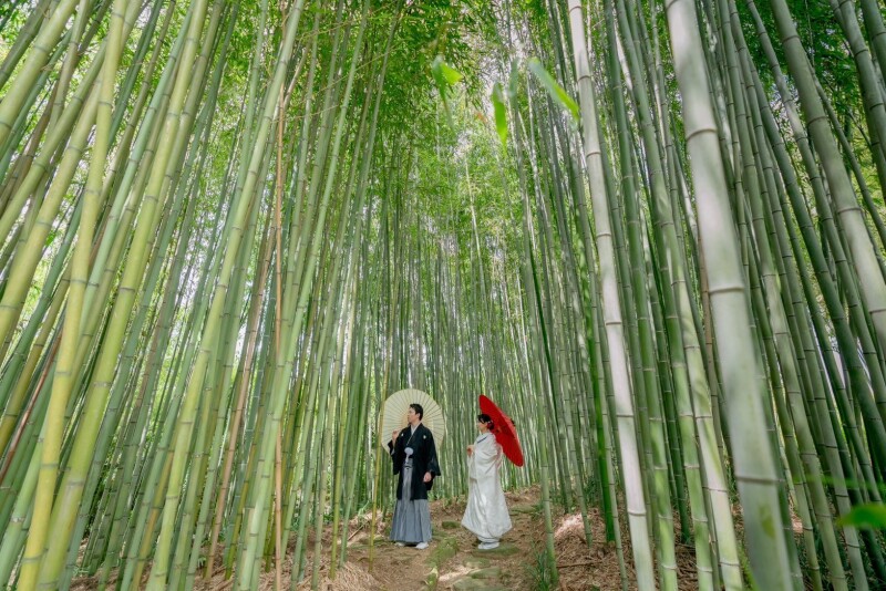 涼しいい感じの竹林で前撮り