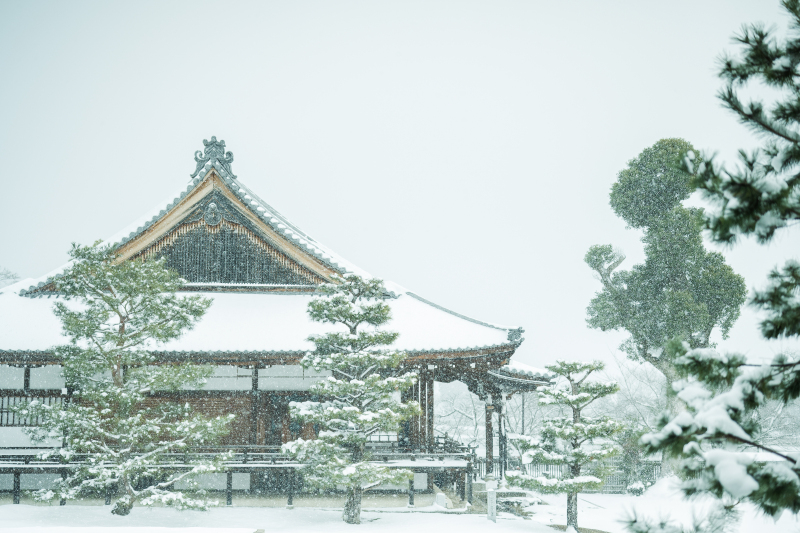 冬の撮影について(雪が降った場合)