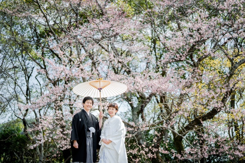 【重要】桜シーズンのご予約について