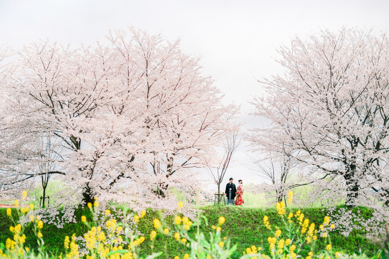 2024年の桜前撮り