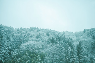 雪の日〜3月のお宮参り
