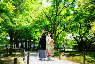 東福寺の緑（6月から9月位のイメージ）