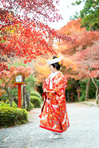 めでたい!紋様紹介 〜花菖蒲・杜若〜