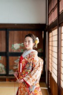 めでたい!紋様紹介 〜菊〜