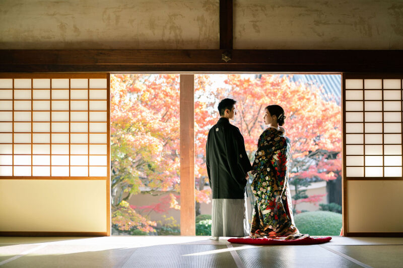 妙顕寺は秋と桜と新緑がいい