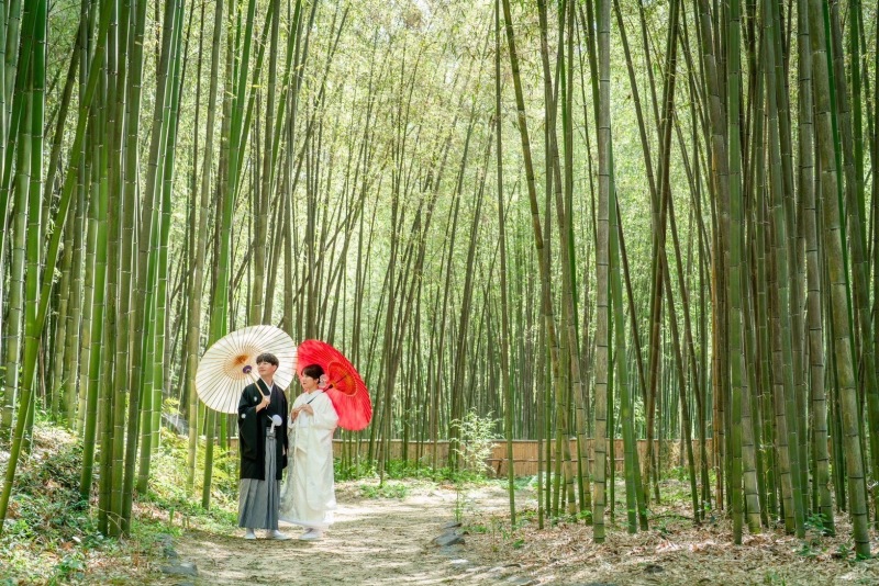 冬の前撮りは竹林で☆