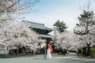 桜前撮りの特別プラン