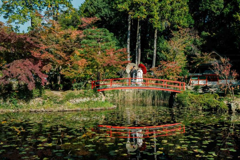 11月30日限定の紅葉プラン！