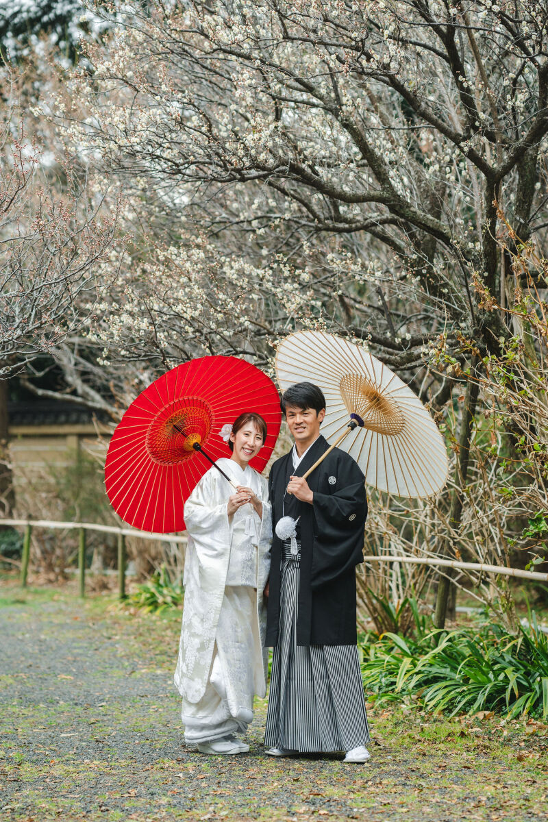 まだまだ梅前撮りはこれから?