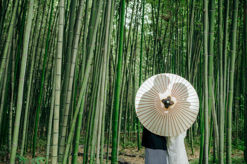 大覚寺での撮影