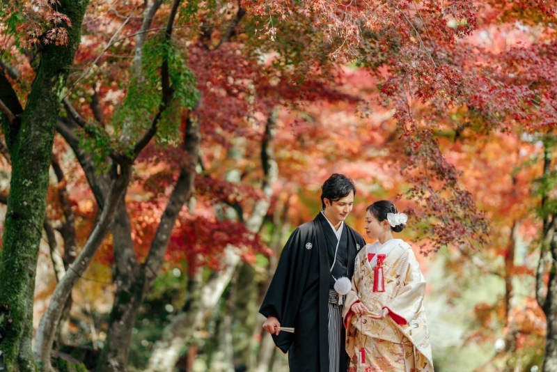 1月2月は大覚寺押し