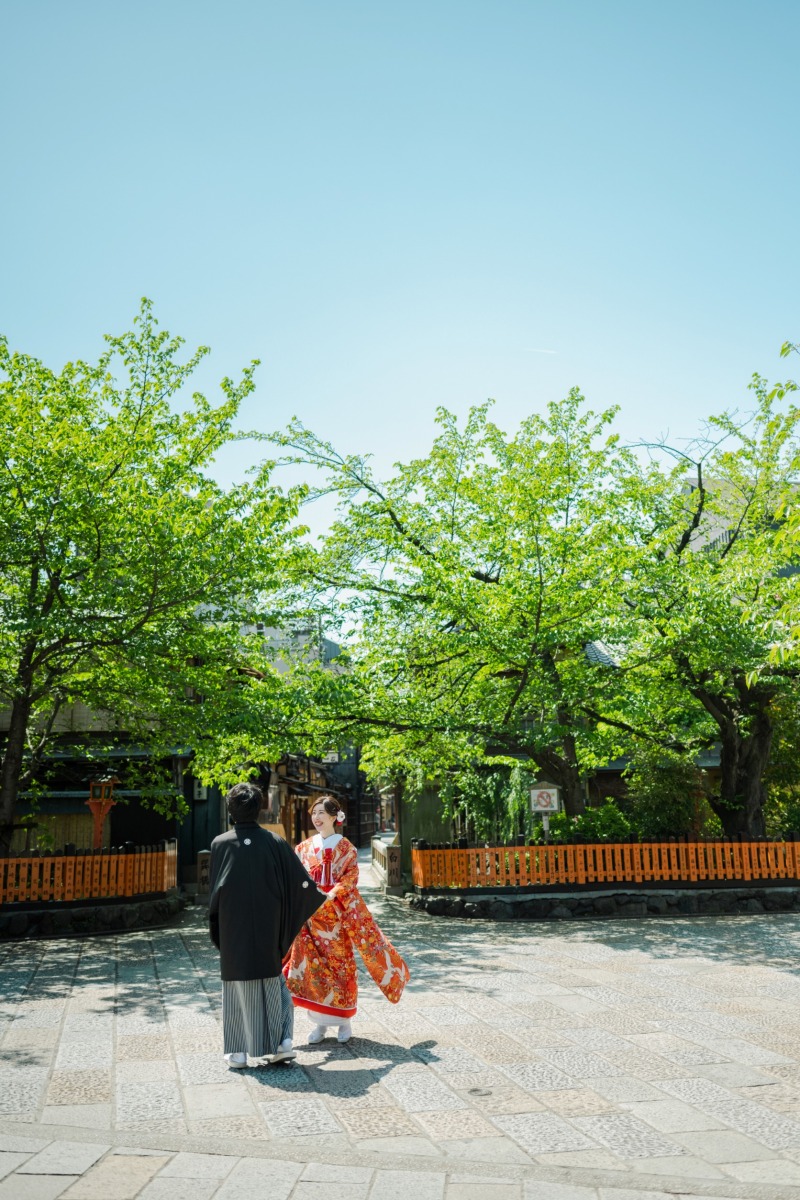新緑の4月中旬からの撮影について